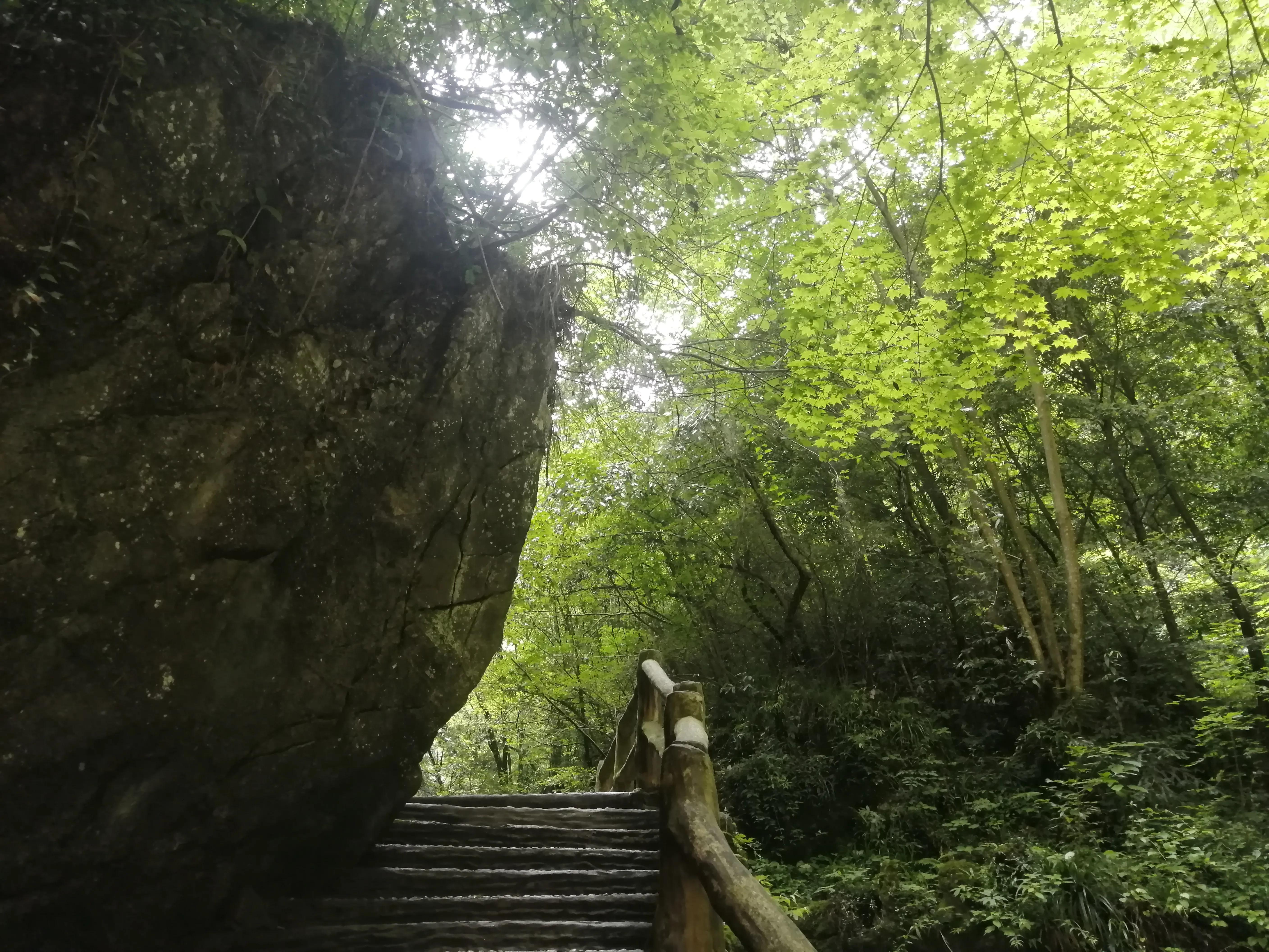 湖北房县最新动态，繁荣魅力之地的蜕变之旅